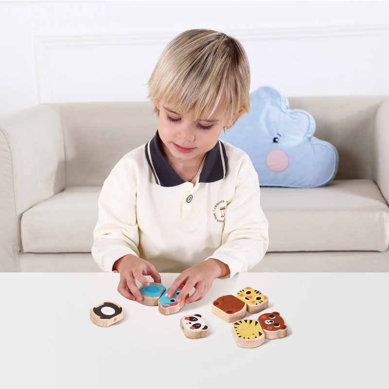 Set Montessori · Curioso · 19-21 meses