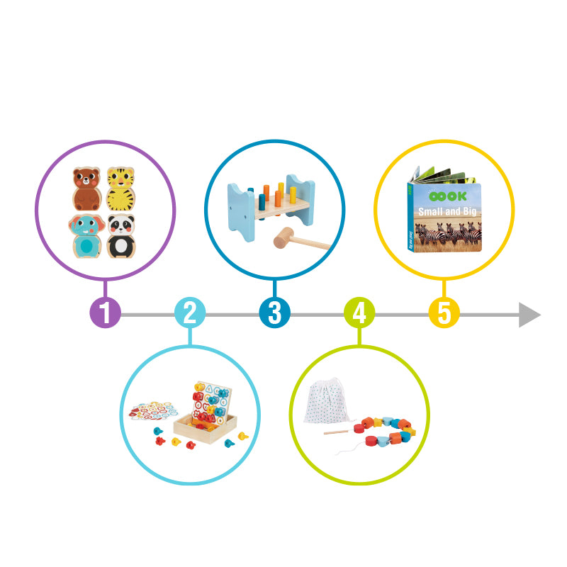 Set Montessori · Curioso · 19-21 meses