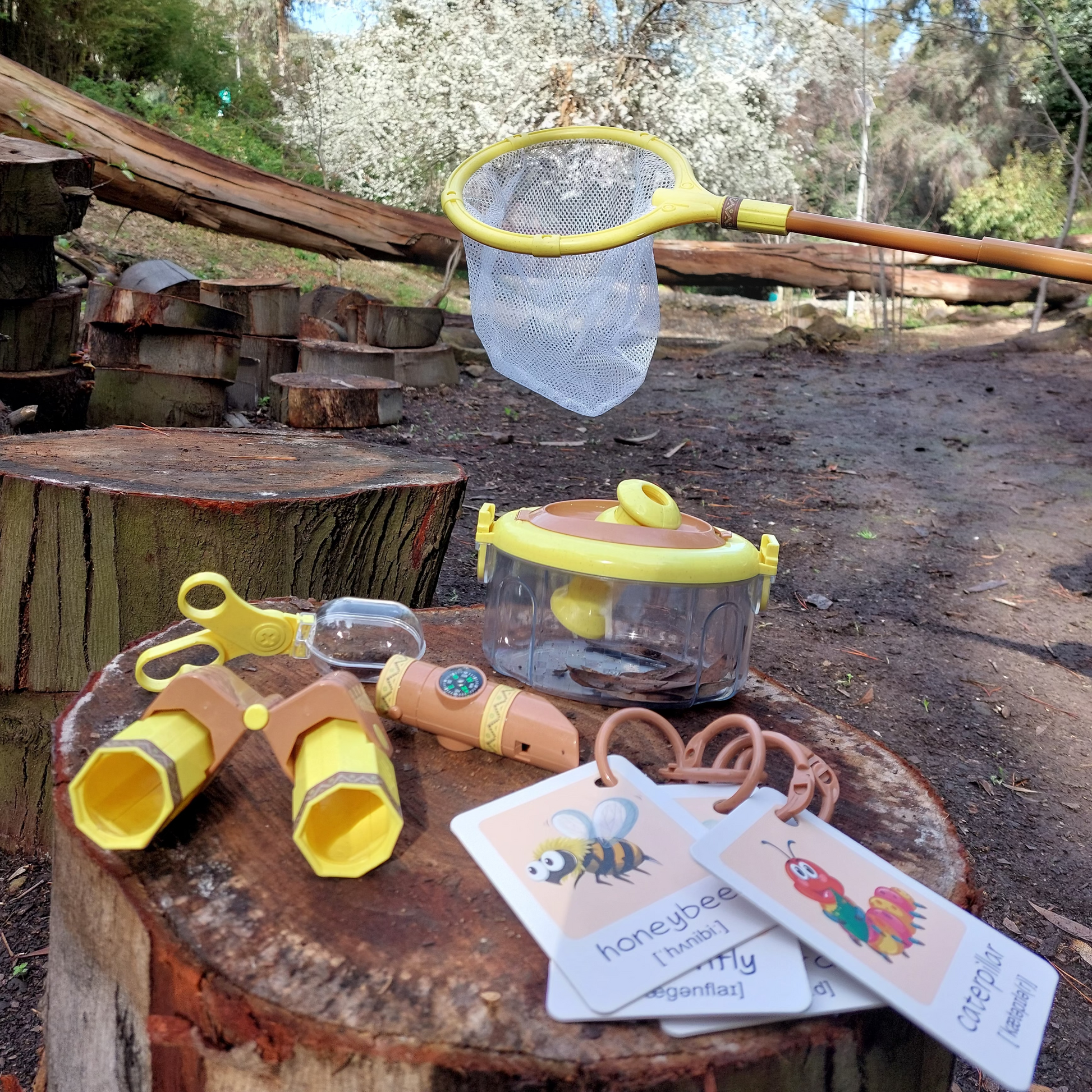 Set de observación científica eco-friendly con caja de insectos, binoculares, silbato, brújula y tarjetas ilustradas
